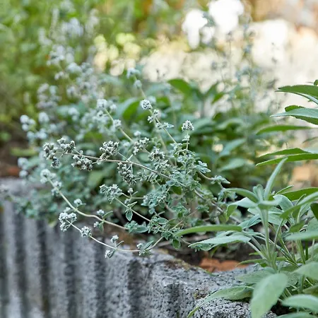 아파트 Haus Am Moselufer - Eg 베른카슈텔쿠에스