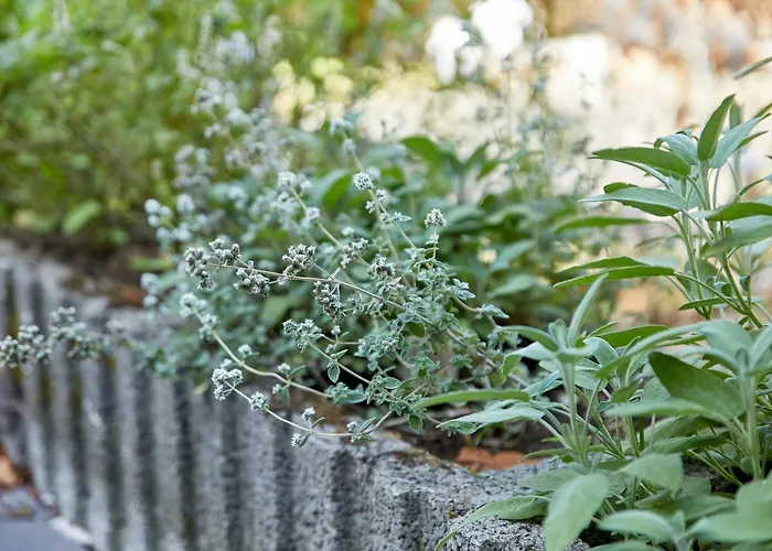 Apartamento Haus Am Moselufer - Eg Bernkastel-Kues